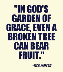 in gods garden of grace